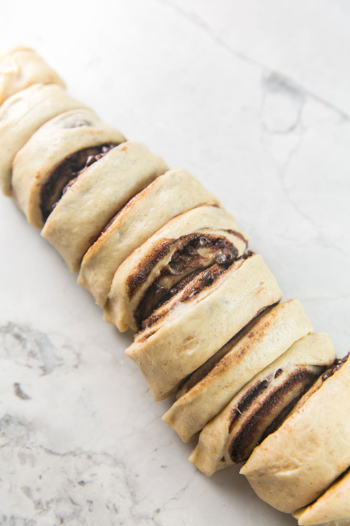 a log of babka dough with chocolate filling rolled into a tube and sliced into 12 pieces