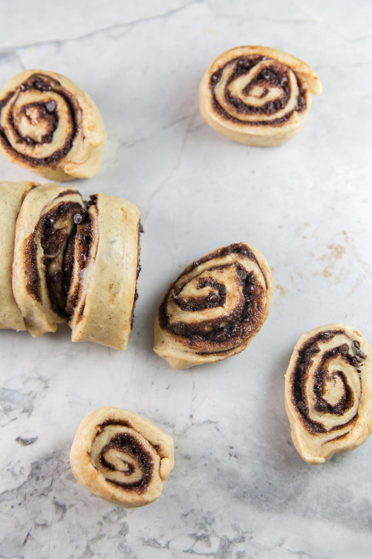 a sliced roll of babka dough with chocolate filling for babka muffins