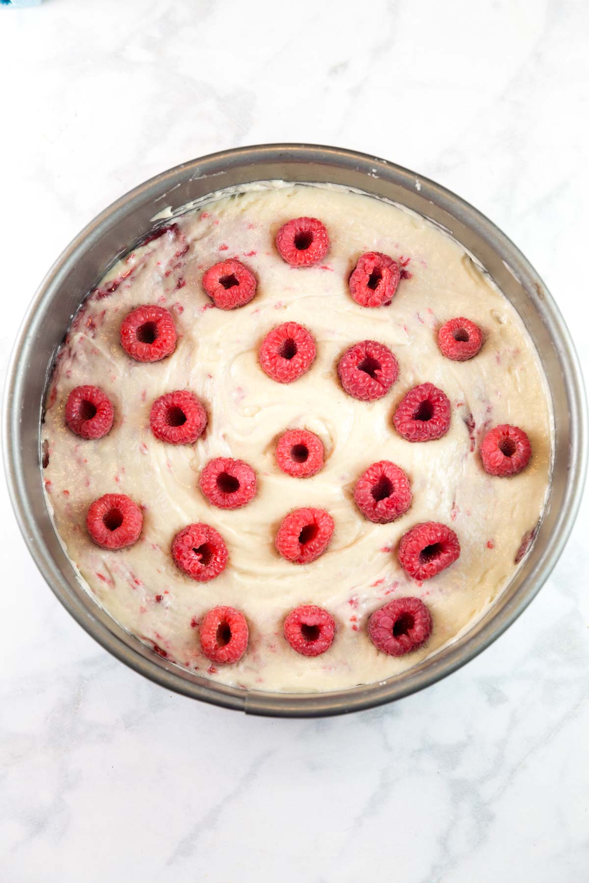 coffee cake in a springform pan with a layer of fresh raspberries on top