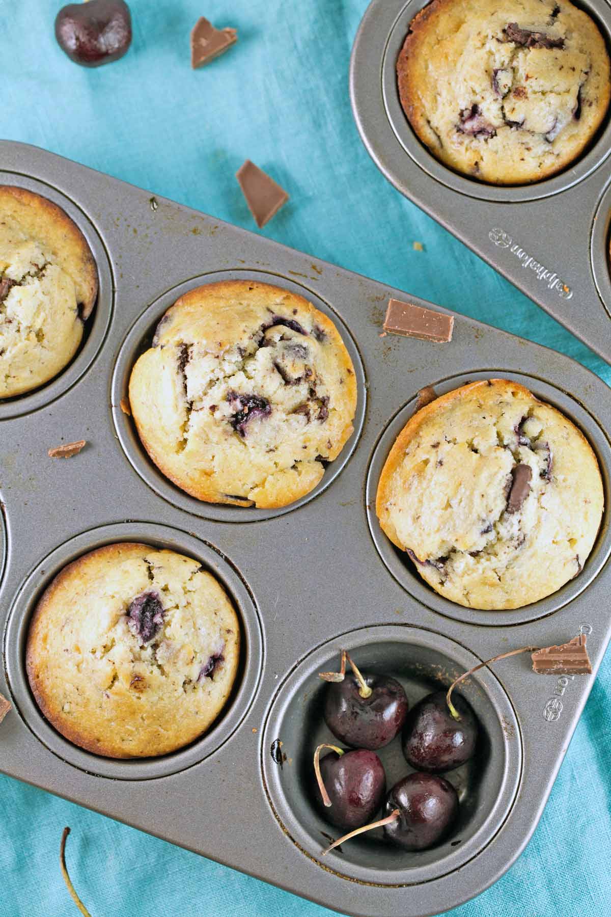 overhead view of cherry chocolate chunk muffins in a muffin tin with one well of the tin filled with fresh cherries