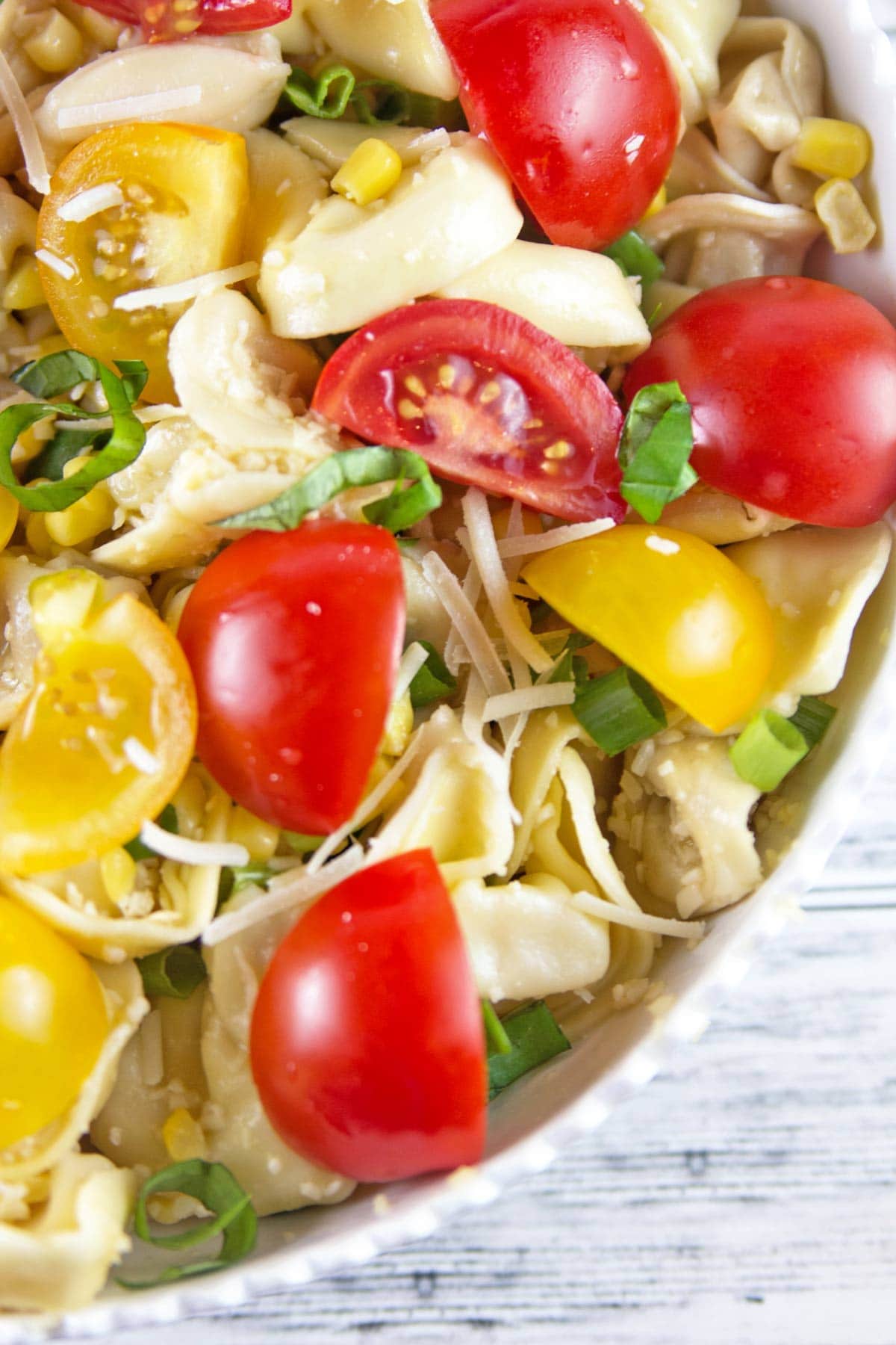 close up view of plump tortellini and fresh red and yellow tomatoes in a pasta salad