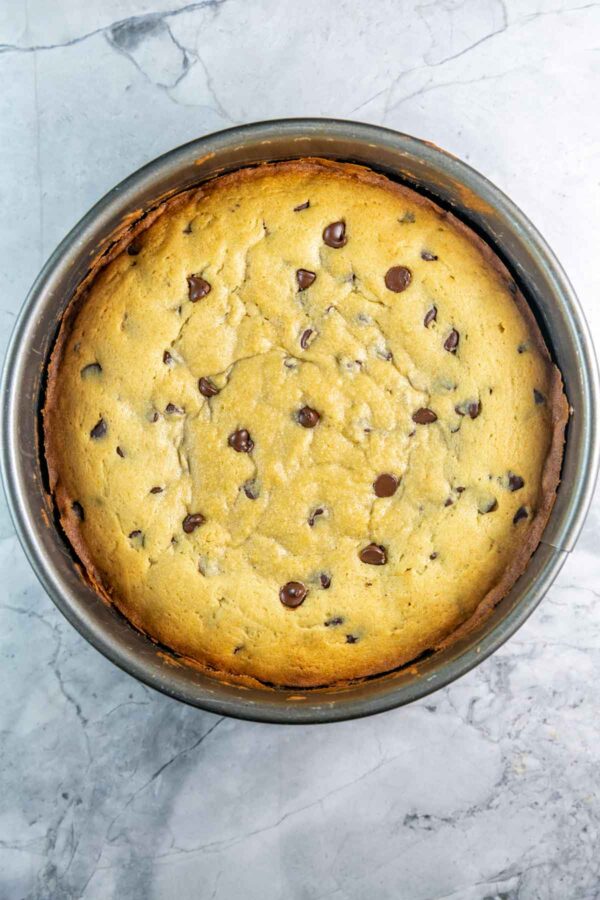 freshly baked golden brown cookie cake still in the springform pan.