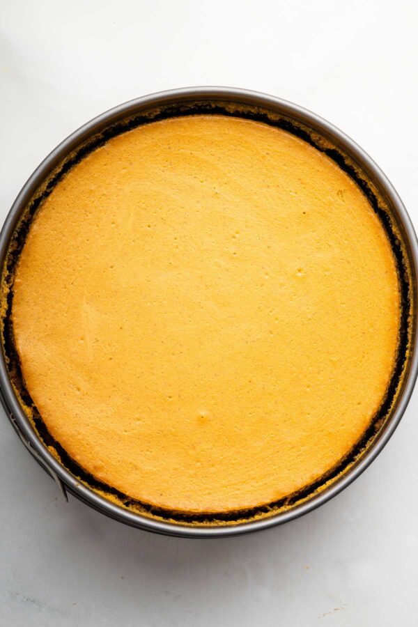 freshly baked pumpkin cheesecake in a springform pan.