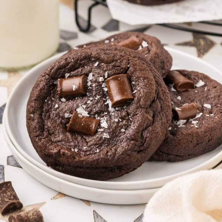 Double Chocolate Chunk Cookies Bunsen Burner Bakery