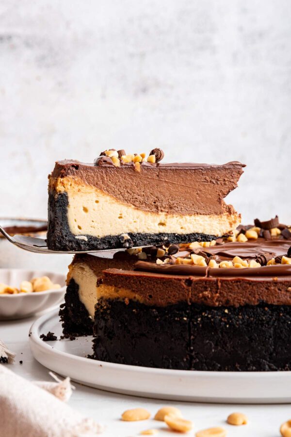 lifting a slice of cheesecake away from the rest of the cheesecake.