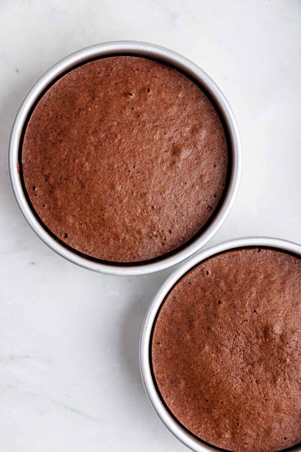 freshly baked chocolate hazelnut cakes still in the cake pans.