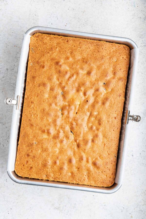 chocolate chip pound cake in a 9x13 inch sheet cake pan.