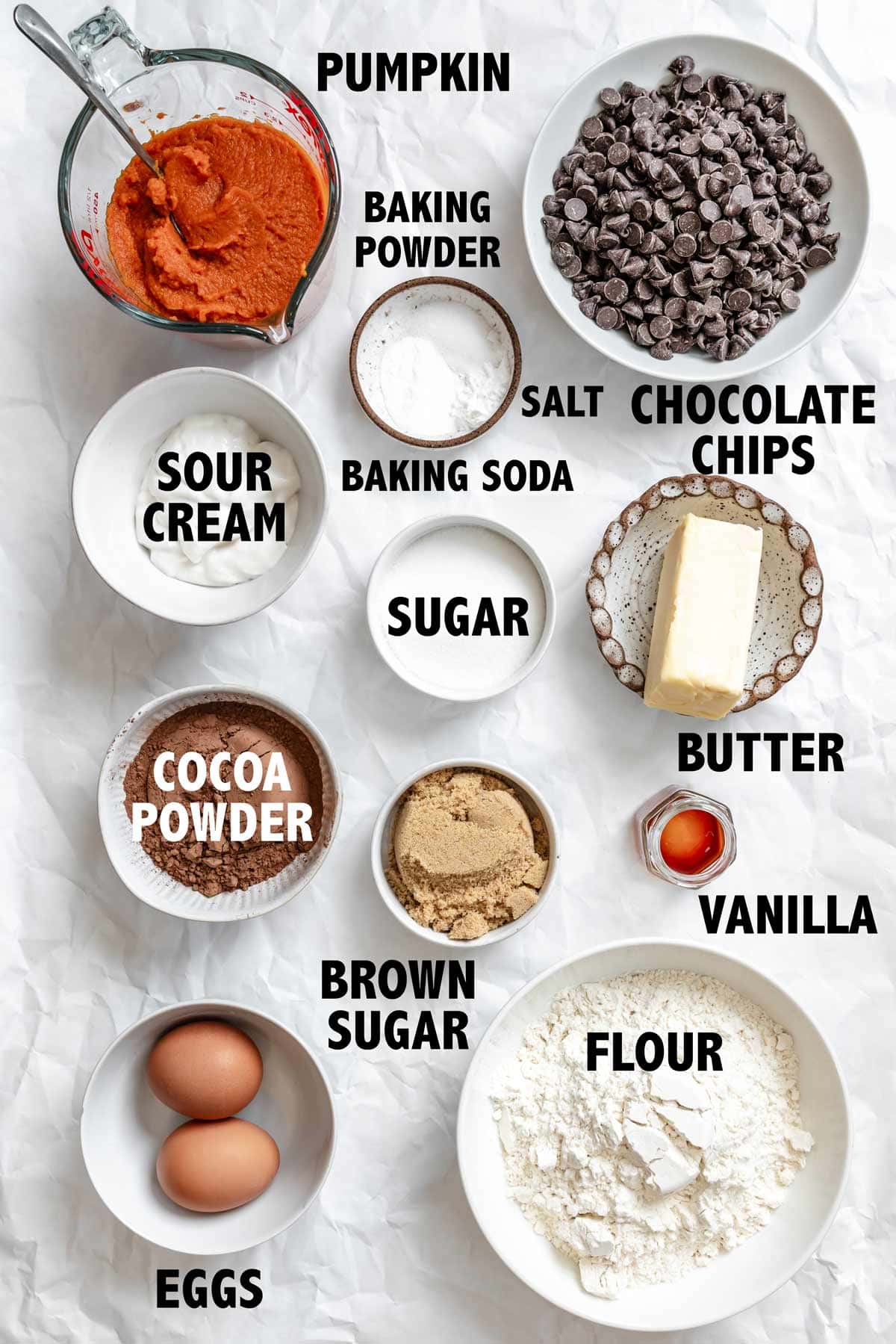 overhead view of ingredients used to make chocolate pumpkin muffins.