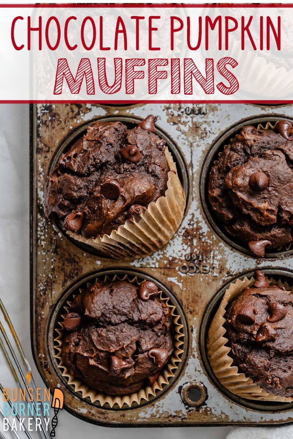 Love pumpkin bread? Love chocolate? These muffins are the best of both worlds: fluffy, flavorful, and full of melty chocolate chips. Includes tips for making them dairy-free, gluten-free, or egg-free!
