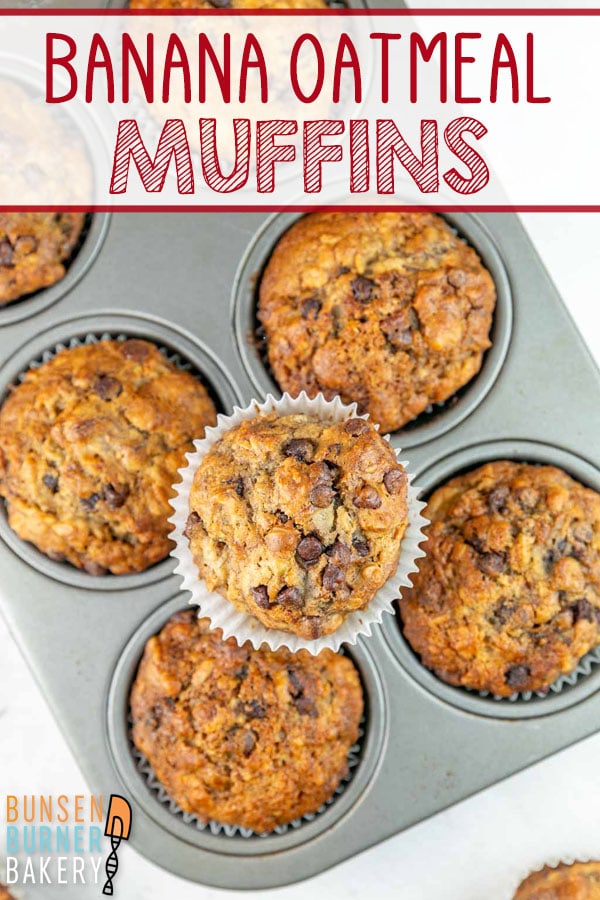 Hearty oats, sweet banana, and mini chocolate chips come together in these delicious oatmeal banana muffins. A must-make muffin recipe for busy mornings!