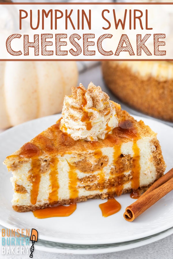 Love pumpkin pie and cheesecake? Pumpkin Swirl Cheesecake delivers both in one bite with a crisp graham crust, ultra-creamy filling, and beautiful swirls of spiced pumpkin.