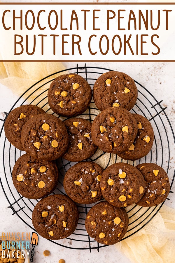 Soft, chewy chocolate cookies packed with sweet peanut butter chips make Chocolate Peanut Butter Chip Cookies an instant family favorite for any occasion.