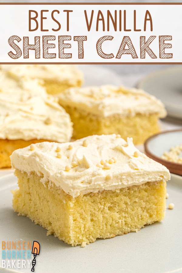 This soft and buttery Vanilla Sheet Cake bakes up perfectly in a 9×13 pan and is finished with classic vanilla buttercream, making it an easy crowd-pleasing cake for any occasion.