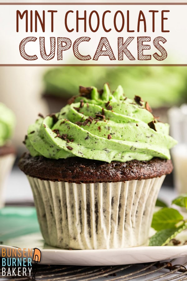 These Mint Chocolate Chip Cupcakes are soft, chocolatey, and topped with mint buttercream loaded with tiny chocolate pieces for the ultimate mint chocolate dessert.