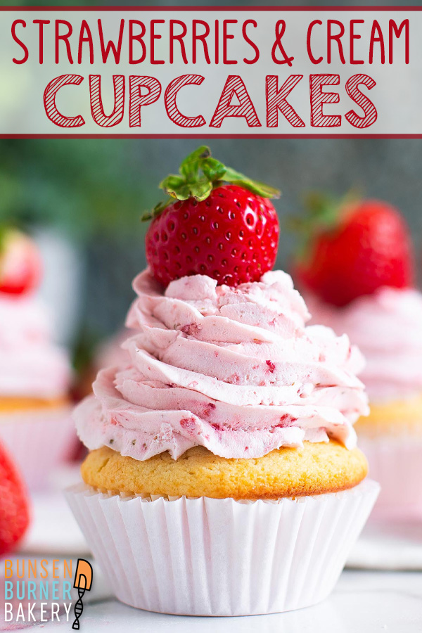 These Strawberries and Cream Cupcakes start with homemade vanilla cupcakes topped with fluffy strawberry buttercream and are finished with a fresh strawberry. These beautiful cupcakes are packed with real strawberry flavor and are perfect for birthdays, showers, and celebrations!