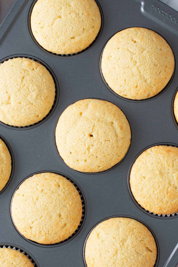 baked vanilla cupcakes still in the cupcake tin.