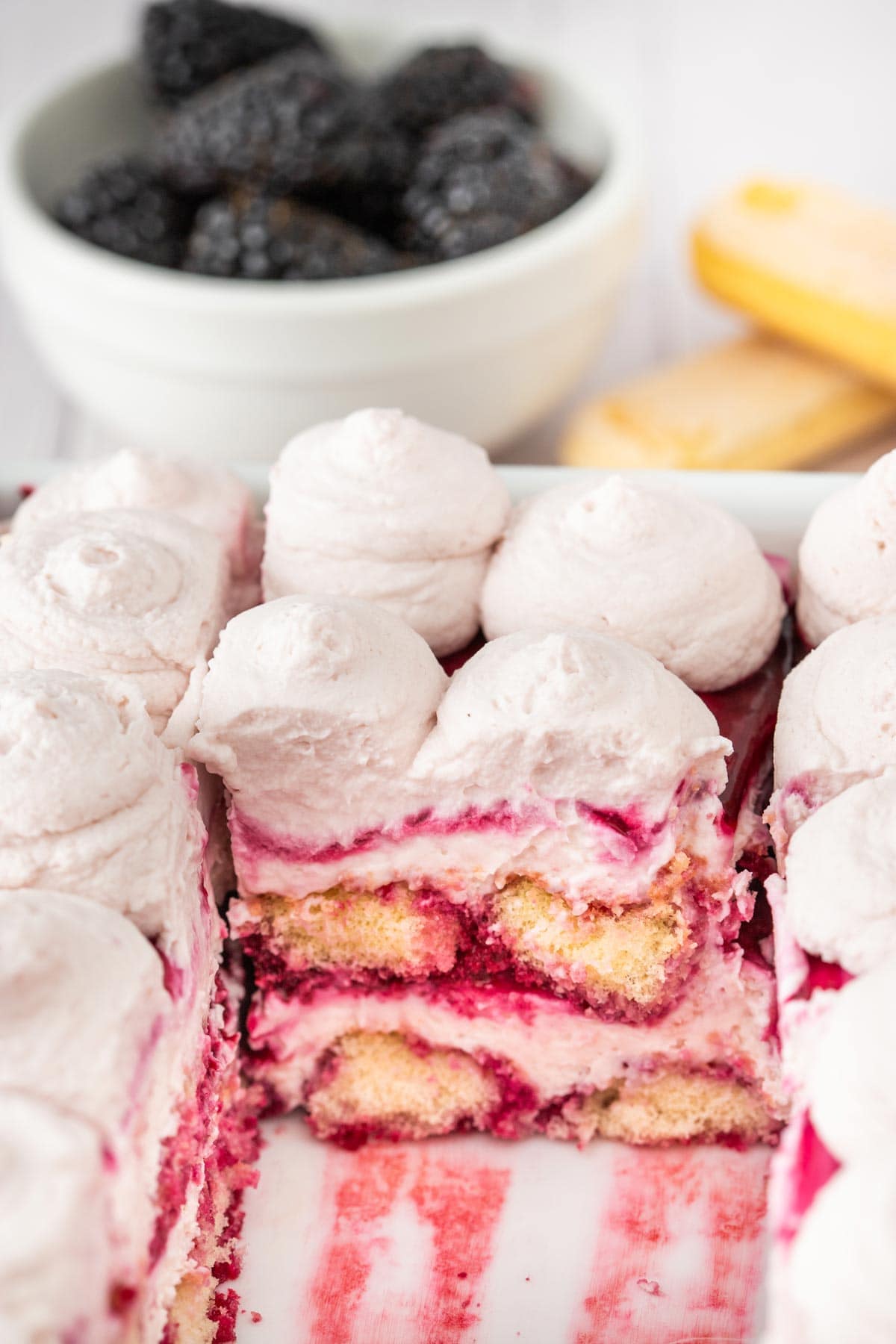 side view of blackberry tiramisu showing the distinct layers and thick filling.