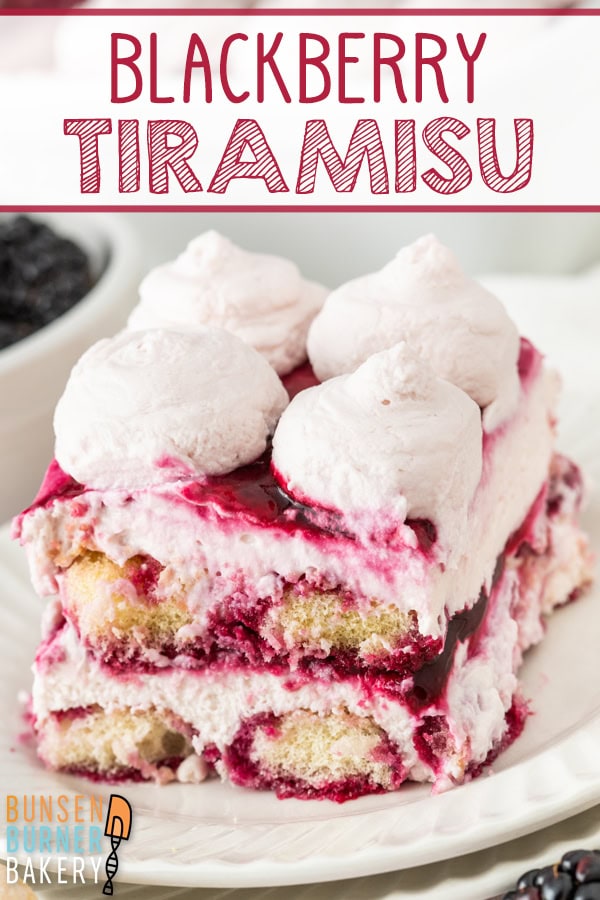 Blackberry Tiramisu layers crisp ladyfingers dipped in homemade blackberry syrup with mascarpone cream, blackberry sauce, and whipped cream for a fruity twist on the classic Italian dessert.