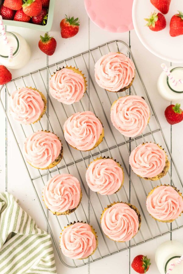 chocolate and vanilla cupcakes topped with a big swirl of fresh strawberry buttercream.