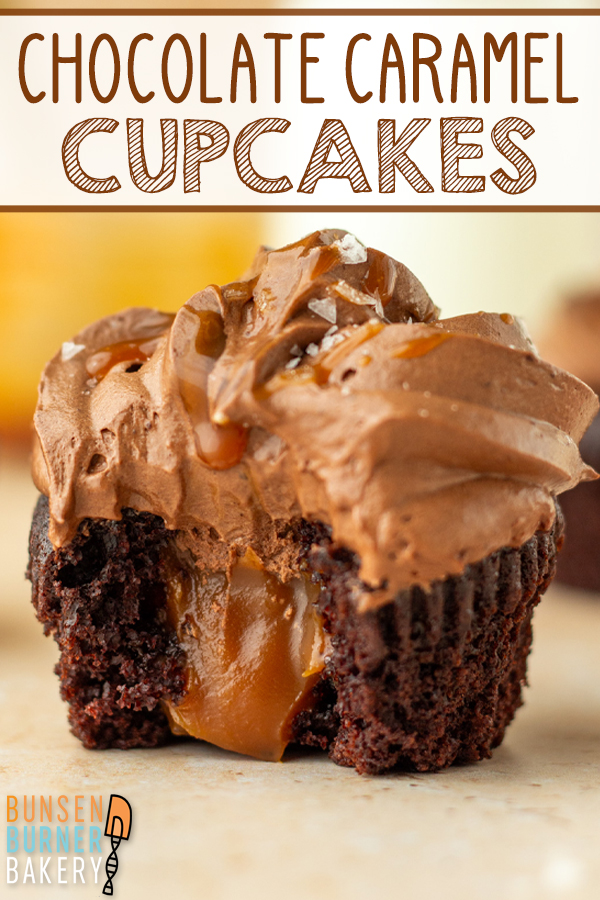 Chocolate Caramel Cupcakes are rich, moist chocolate cupcakes filled with homemade salted caramel and topped with fluffy whipped chocolate ganache. Add a caramel drizzle and flaky sea salt for the ultimate caramel-filled chocolate cupcake.